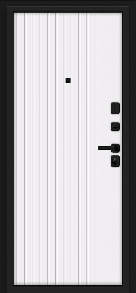 Товар Дверь Граффити-32/SBlack Black Shell/White Pro BR6160