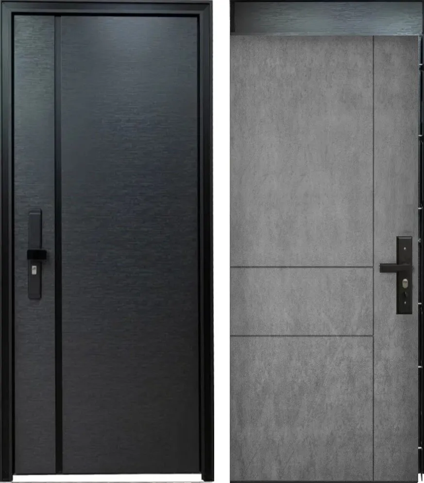 Дверь Цербер 102 DIS007200